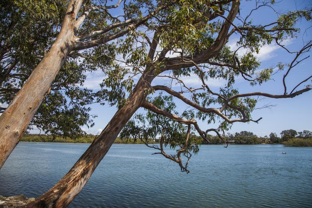 Colonial Tweed Holiday & Home Park Tweed Heads Zewnętrze zdjęcie